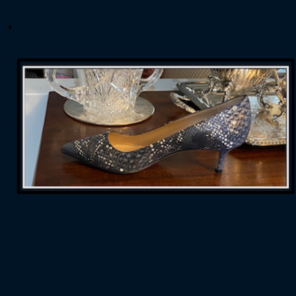 Manolo Blahnik 50mm BB Dark Navy Leather Snake Print Pumps Size 37. US 7.5